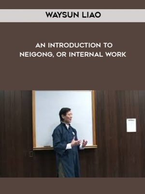 Waysun Liao – An Introduction to Neigong, or Internal Work