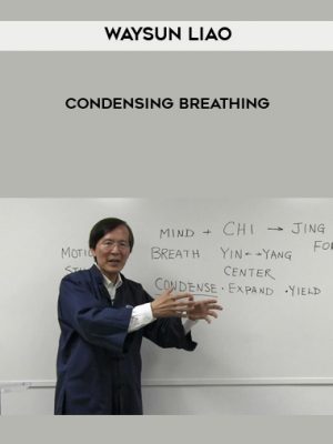 Waysun Liao – Condensing Breathing