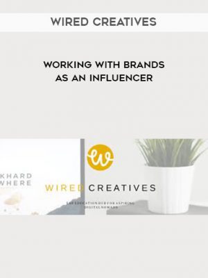 Wired Creatives - Working With Brands as an Influencer