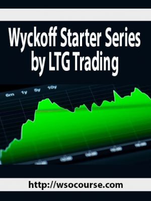 Wyckoff Starter Series by LTG Trading