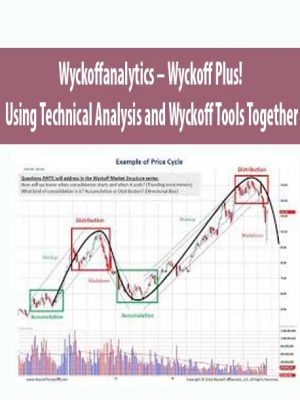 WYCKOFFANALYTICS – WYCKOFF TRADING COURSE (WTC) (Spring 2019) (Jan-Apr)